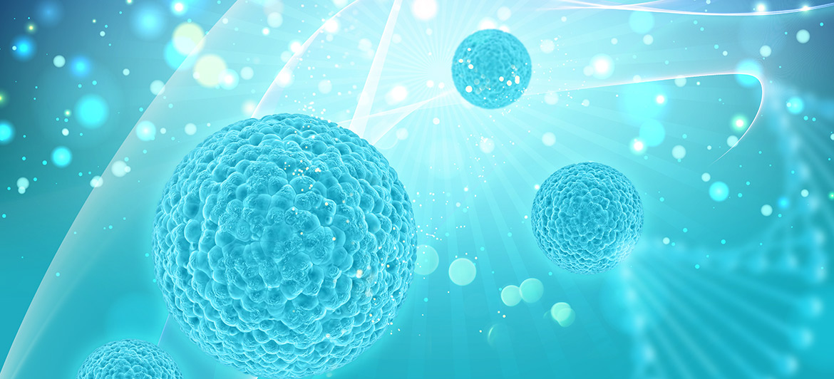 Biomedical Engineering